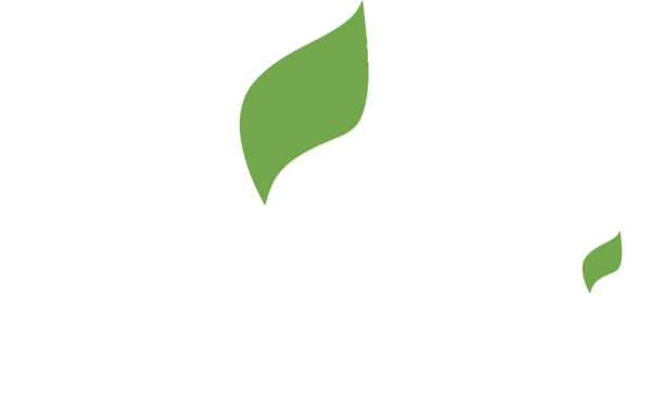 РИФЕЙ